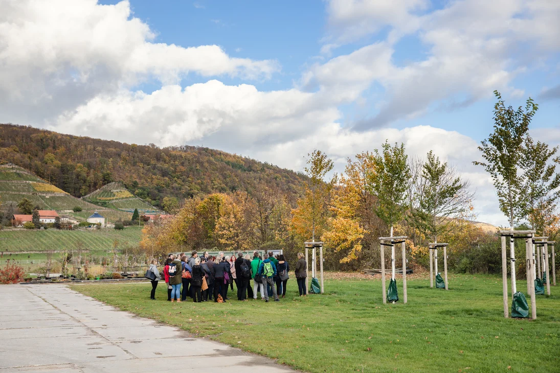 Teilnehmende lassen sich von Tom Kirsten vor einer Tafel etwas erklären. Im Hintergrund sind die Weinberge von Pillnitz zu erkennen.