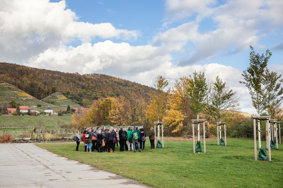 Teilnehmende lassen sich von Tom Kirsten vor einer Tafel etwas erklären. Im Hintergrund sind die Weinberge von Pillnitz zu erkennen.