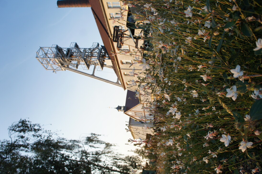 Förderturm Reiche Zeche Freiberg